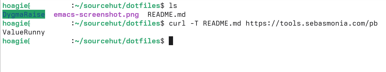 A terminal window with a curl request and response.