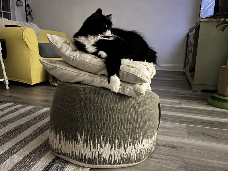 A tuxedo cat laying over a stack of pillows.